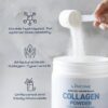Natural Multi-Collagen Beauty Powder